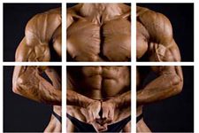 The Best Split Routines For Building Muscle