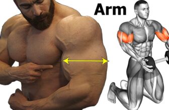 14 Best Workout To Get Big And Perfect Arms